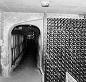 Cellar Rion