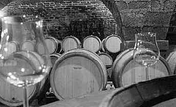 The 1998 in the Barrels