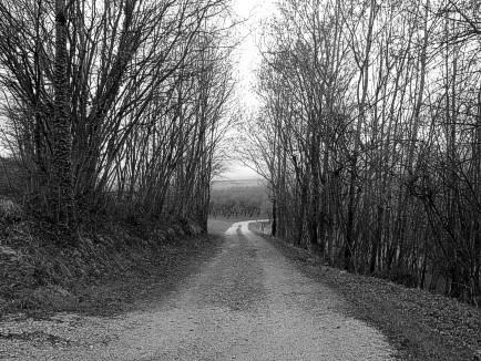 Small Road near Pupillin