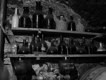 Collection of Ancient Bottles in the Cellar of Lucien Aviet