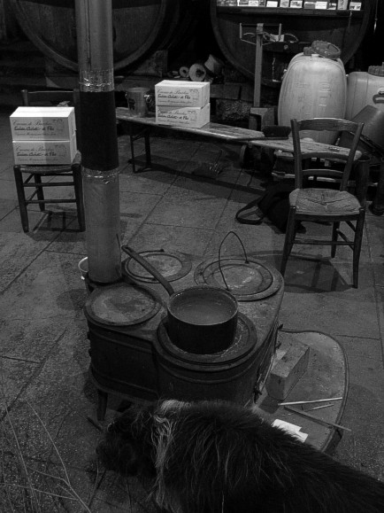 Stove in the Cellar of Lucien Aviet - Dog Gorki in Front