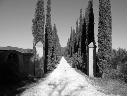 Gateway to Giovanni Chiappini