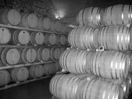 Barrel Cellar in the Castello di Bolgheri