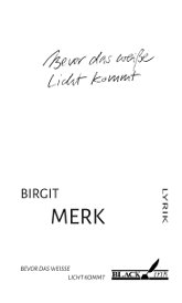 Birgit Merk: Bevor das weiße Licht kommt