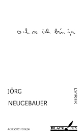 Jörg Neugebauer: Ach so ich bin ja